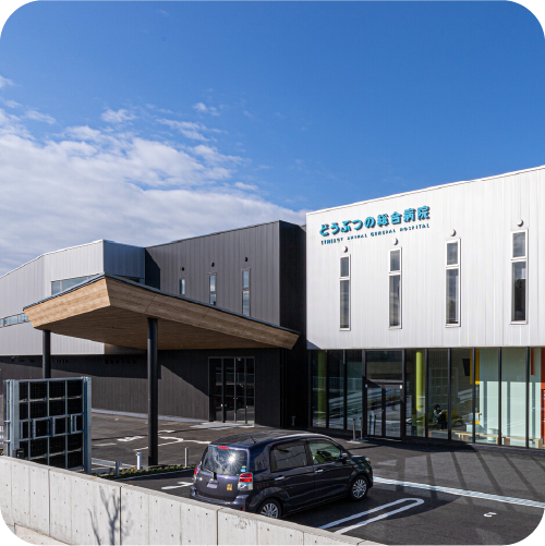 どうぶつの総合病院 専門医療＆救急センター