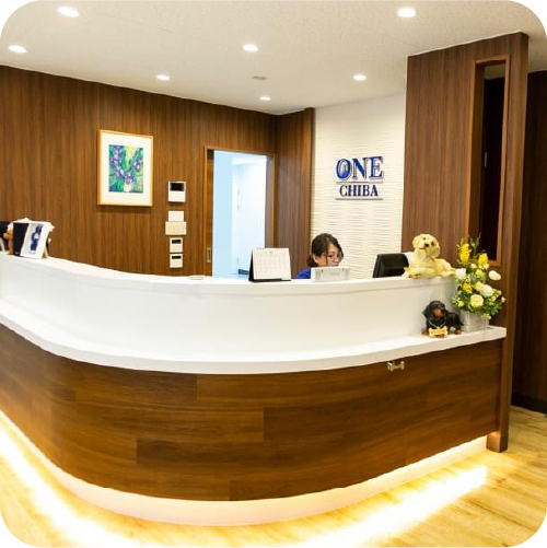 One 千葉どうぶつ整形外科センター