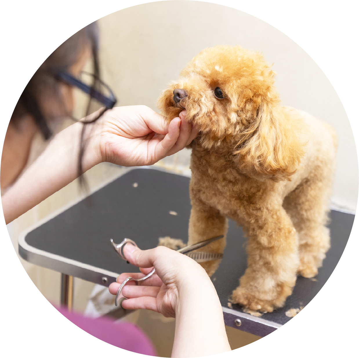 メディカルトリミング